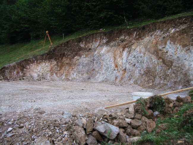 Borovnica Iskop - foto povečava