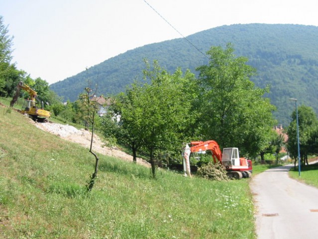 Borovnica Iskop - foto