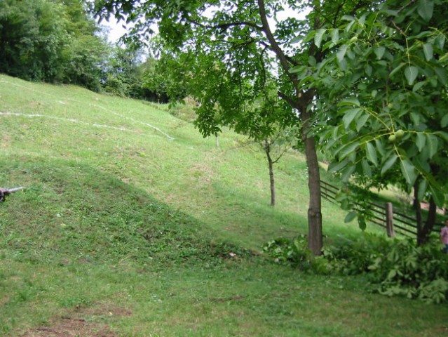 Borovnica Iskop - foto