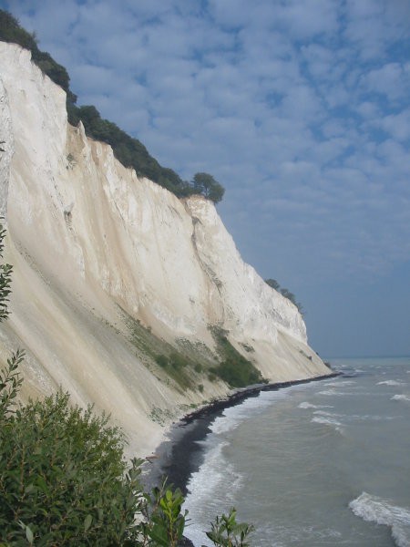 Bertove slike - foto povečava