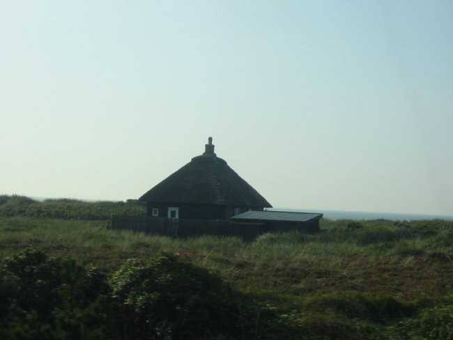 Bertove slike - foto povečava