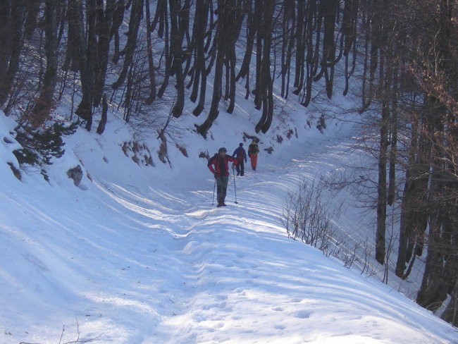 VELIKI SNEŽNIK - foto povečava