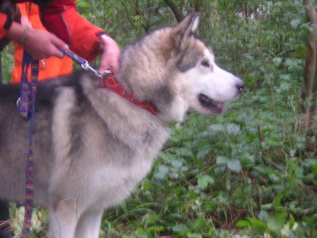 Tabor  ERP Varpolje 2007 - foto povečava