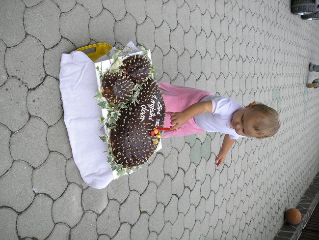 Moja prva torta.
Ježja družina.
