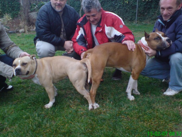 Leglo Tana & Boston  - foto