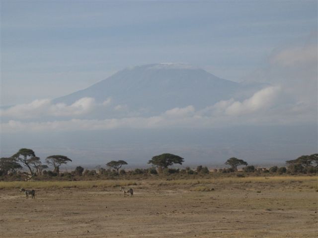 Amboseli nacionalni park - foto povečava