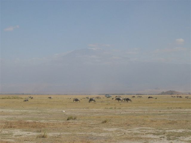 Amboseli nacionalni park - foto