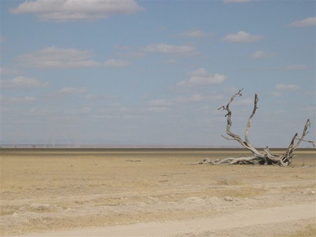 Amboseli nacionalni park - foto povečava