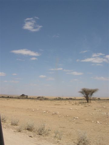 Amboseli nacionalni park - foto povečava