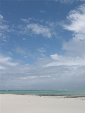 Diani plaža - foto povečava