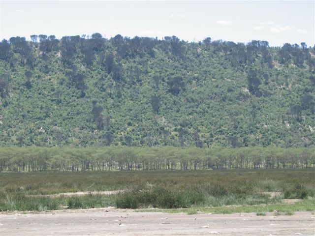 Jezero Nukuru - foto