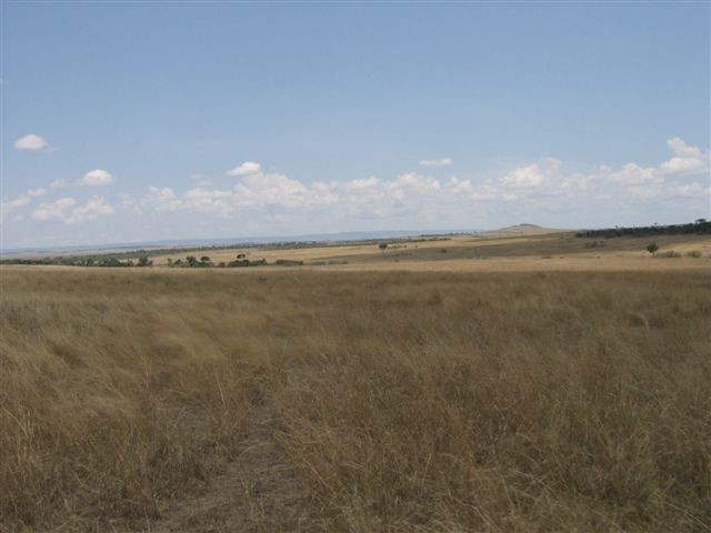 Masai Mara nacionalni park - foto povečava