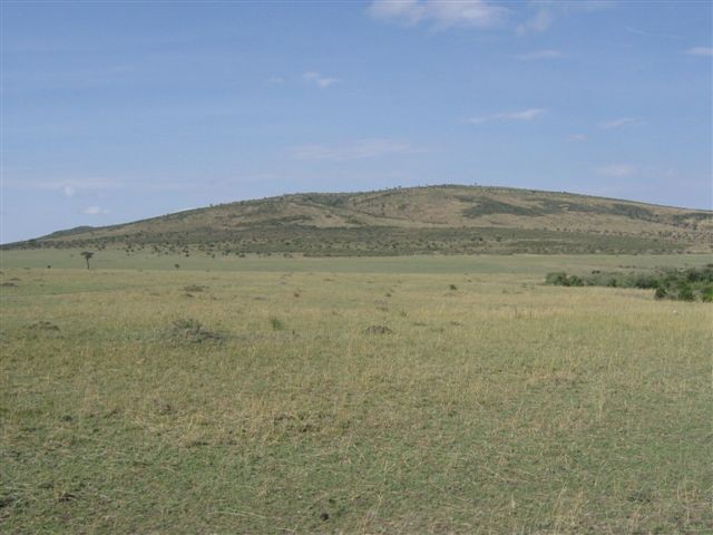 Masai Mara nacionalni park - foto povečava