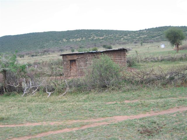 Masai Mara nacionalni park - foto povečava