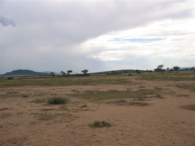 Masai Mara nacionalni park - foto