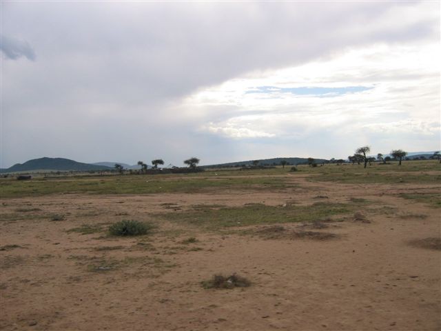 Masai Mara nacionalni park - foto povečava