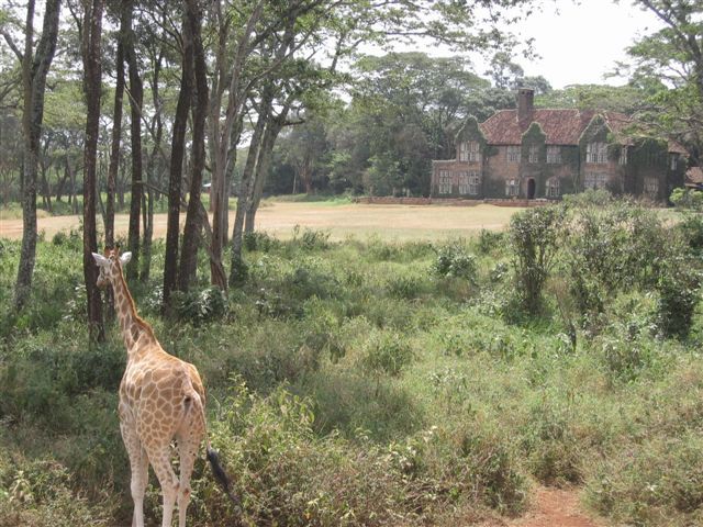 Nairobi nacionalni park - foto