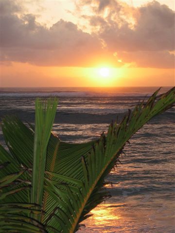 Tiwi plaža - foto povečava