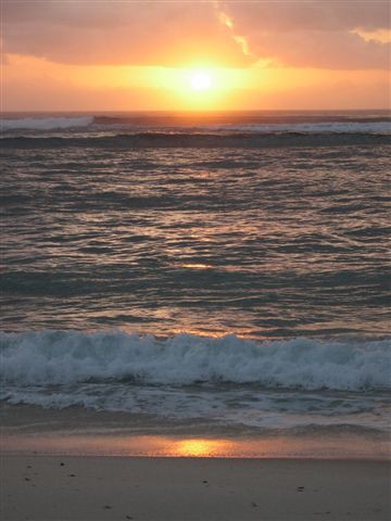 Tiwi plaža - foto povečava