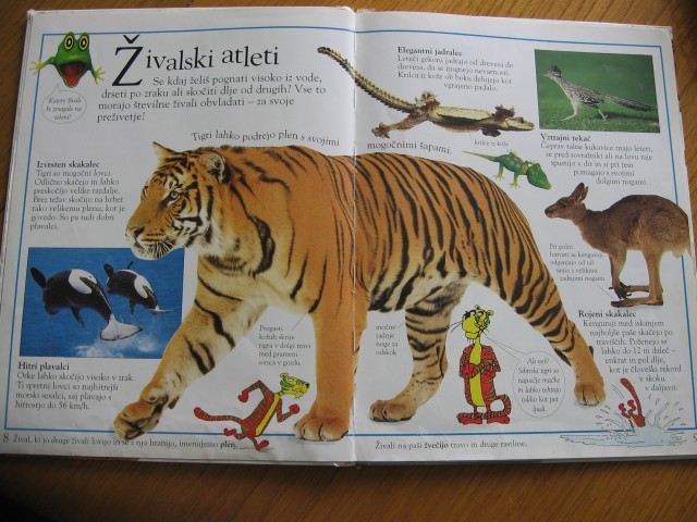 Knjiga o čudovitih živalih, 3€