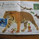 Knjiga o čudovitih živalih, 3€