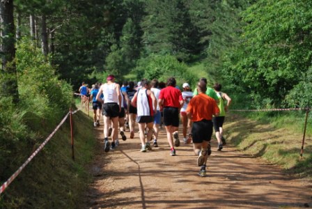 Bistrški tek 27.06.2009 - foto povečava