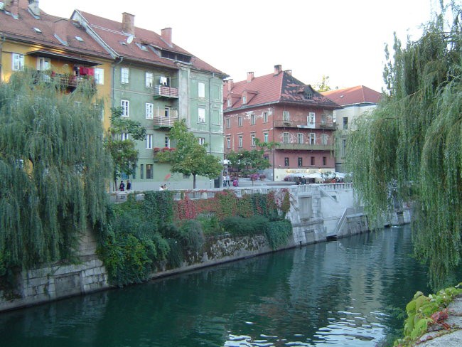 Ljubljana, tudi tukaj sem doma.  - foto povečava