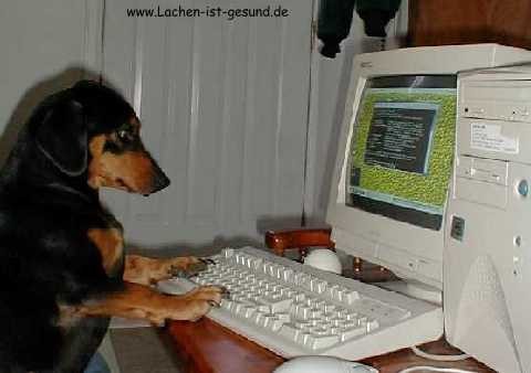New era where're even dogs interested in computers...