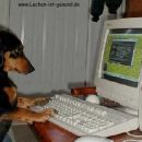 New era where're even dogs interested in computers...