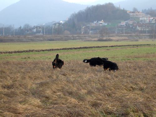 Berni sprehod - 16.12. 2006 - foto povečava