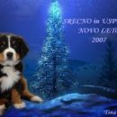 Novo leto 2007