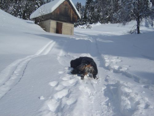 Zatrnik 28.1.2007 - foto povečava