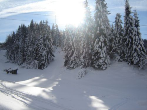 Zatrnik 28.1.2007 - foto