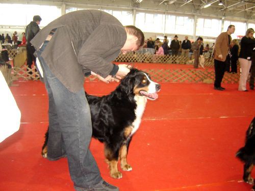 CAC Celje - 25.2.2007 - foto