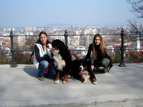 Taj, Bak in Dina na Ljubljanskem Gradu - 15.3 - foto