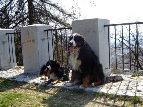 Taj in Bakon na Ljubljanskem Gradu - 16.3.200 - foto povečava