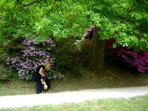 Taj - Arboretum Volčji potok - 2.5.2007 - foto
