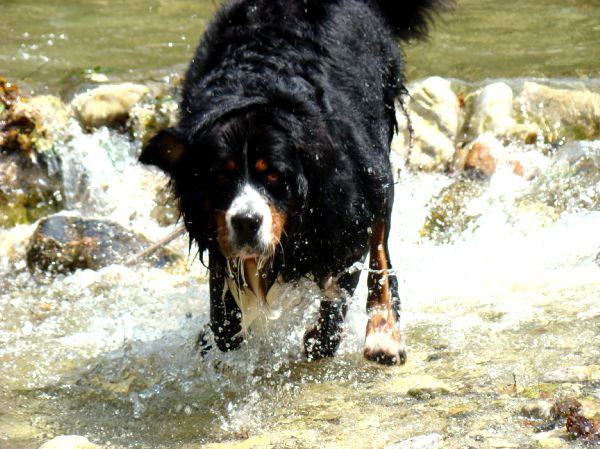 Berni sprehod v Iški Vindgar - 29.6.2007 - foto povečava