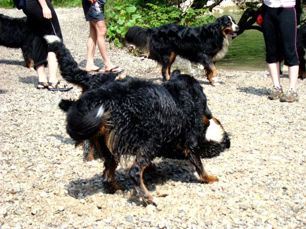 Berni sprehod v Iški Vindgar - 29.6.2007 - foto povečava