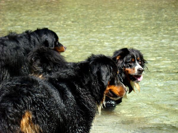 Berni sprehod v Iški Vindgar - 29.6.2007 - foto povečava