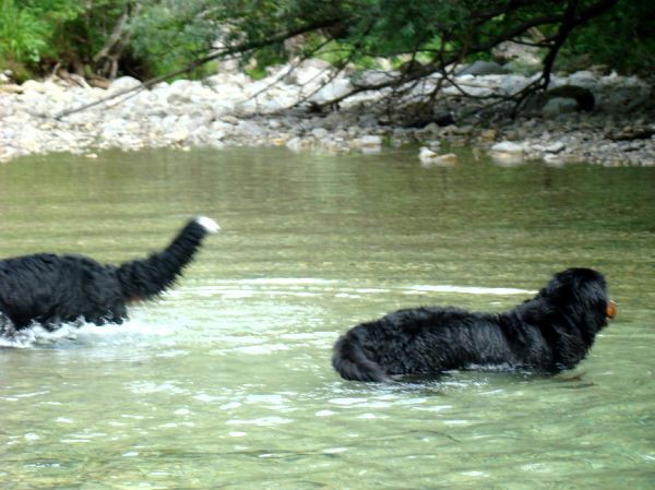 Berni sprehod v Iški Vindgar - 29.6.2007 - foto povečava