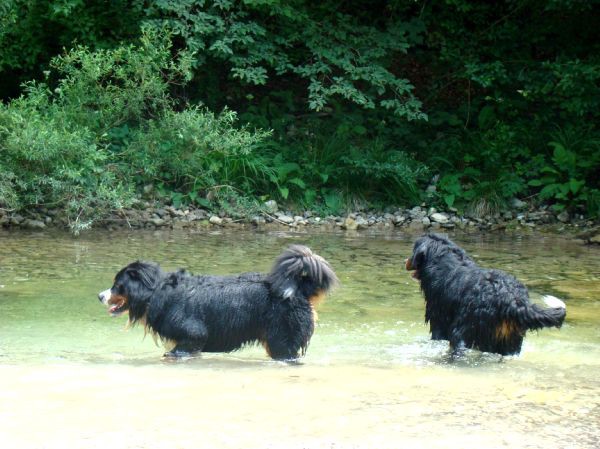 Berni sprehod v Iški Vindgar - 29.6.2007 - foto povečava