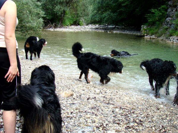 Berni sprehod v Iški Vindgar - 29.6.2007 - foto povečava