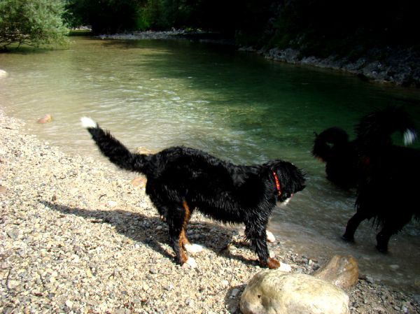 Berni sprehod v Iški Vindgar - 29.6.2007 - foto povečava