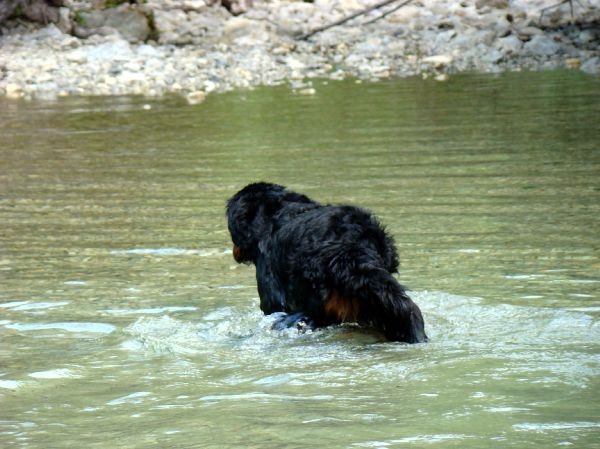 Berni sprehod v Iški Vindgar - 29.6.2007 - foto povečava