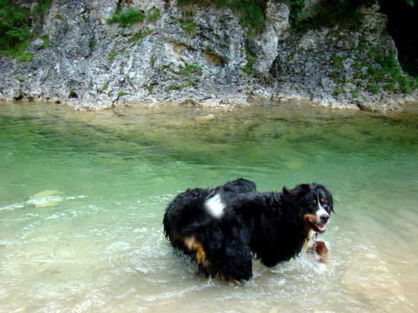 Berni sprehod v Iški Vindgar - 29.6.2007 - foto povečava