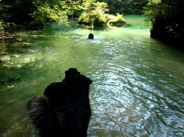 Taj, Rina, Atos in Best - Kamniška Bistrica - - foto