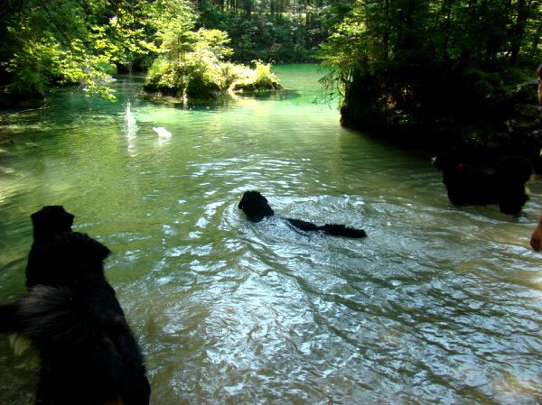 Taj, Rina, Atos in Best - Kamniška Bistrica - - foto