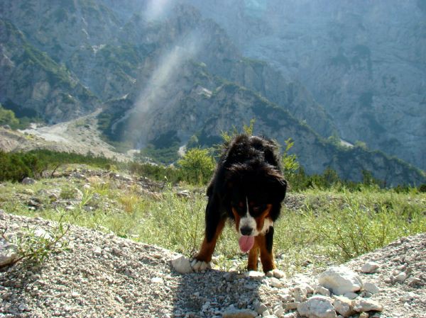 Taj - Kranjska Gora - 16.8.2007 - foto povečava