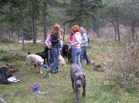 30.10.05- 2.PeSjanar.si srečanje - foto povečava